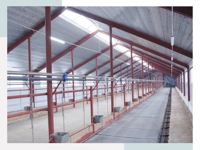 Строительство коровников в Курске от 625 руб.