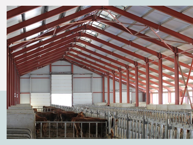 Строительство коровников в Курске